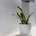 Elliah Casa de Férias Moni Christou Dasous