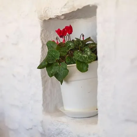 Elliah Semesterbostad *