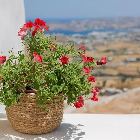 Elliah Semesterbostad