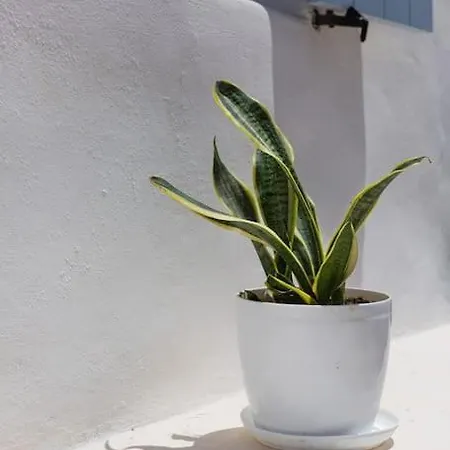 Elliah Semesterbostad Moni Christou Dasous