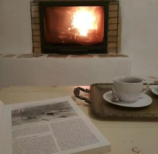 Elliah Moni Christou Dasous